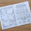 Reforma26 - Kompas Jutra (Paszport przyrodnika)